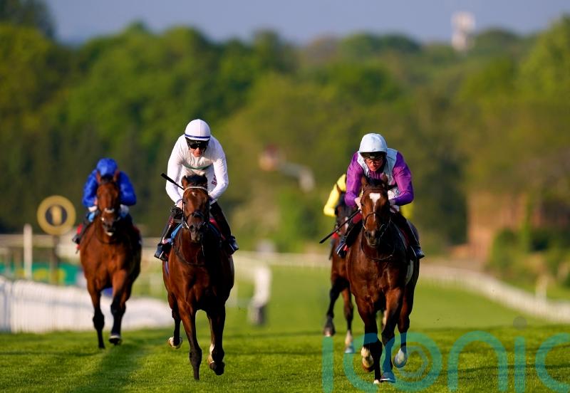 Artistic Star makes an impression to forward Derby case