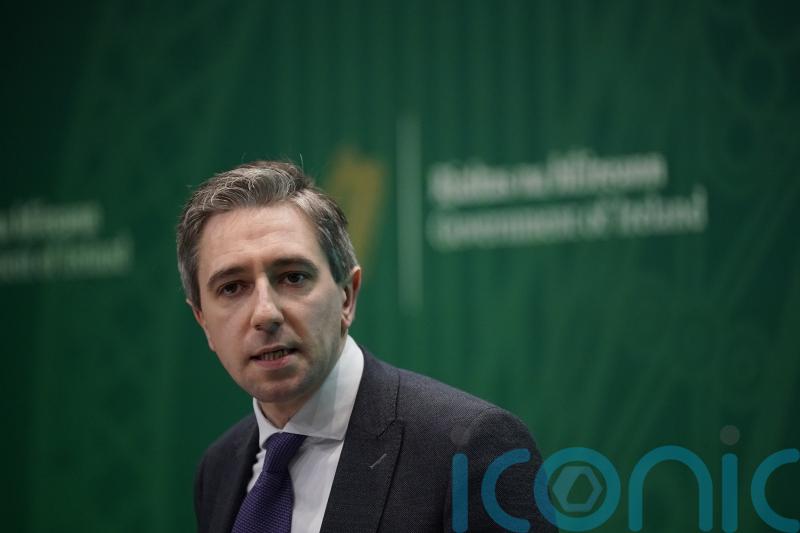 Irish Government will not forget duty to Troubles victims &ndash; Justice Minister