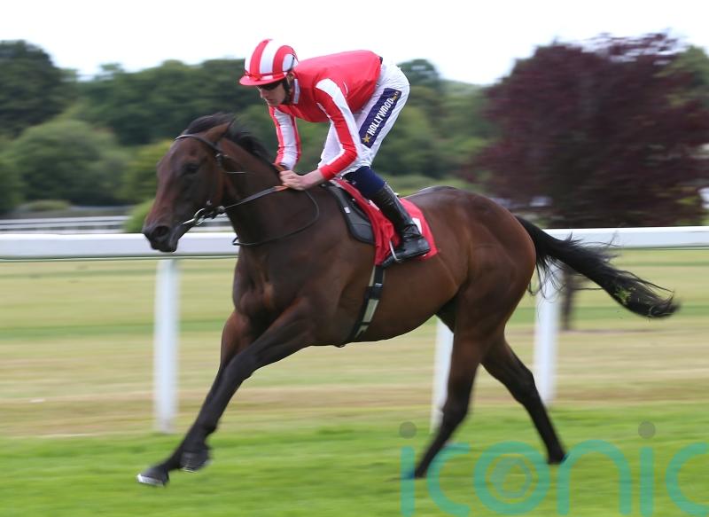 Rocket Rodney shoots for glory in Westow Stakes