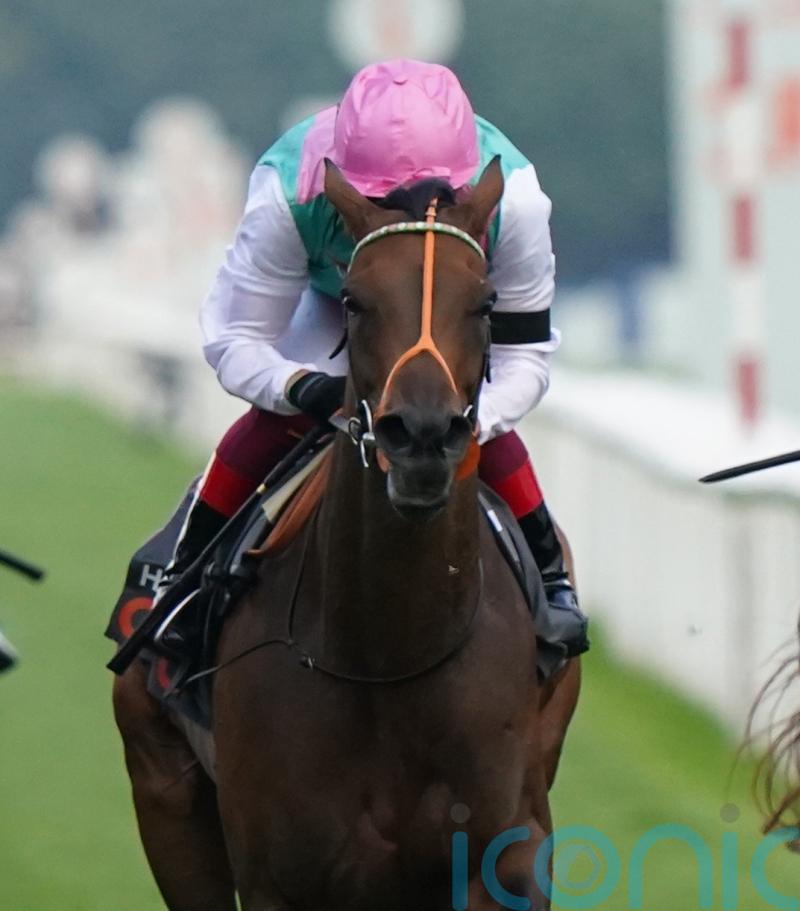 Haskoy tackles Al Rayyan challenge on Newbury return