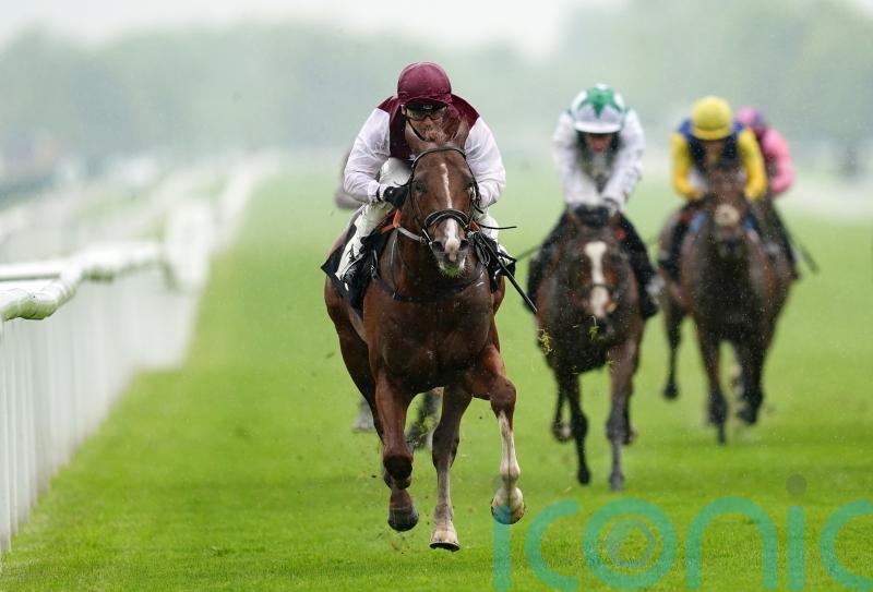 Zoulu Chief takes charge with 150-1 surprise at Newbury