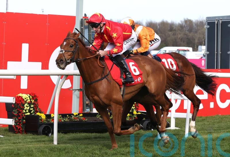 Wise Eagle soaring in elite company with fairytale Gold Cup bid