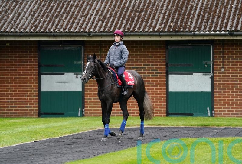 In-demand Murphy has designs on Derby and Oaks double