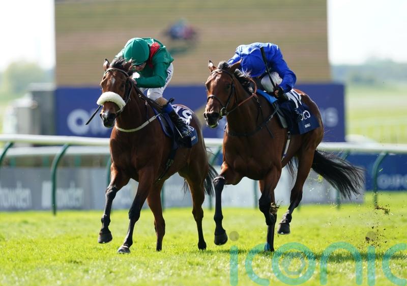 Bin Suroor looking forward to Coronation rematch with Mawj