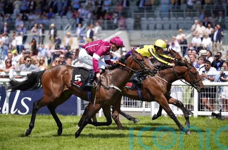 Noche Magica on Norfolk Stakes trail