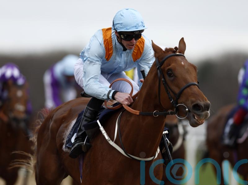 Dear My Friend to break new ground for Middleham Park in Derby