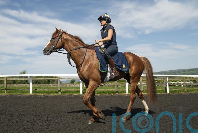 Johnston dreaming of Derby delight with Dubai Mile