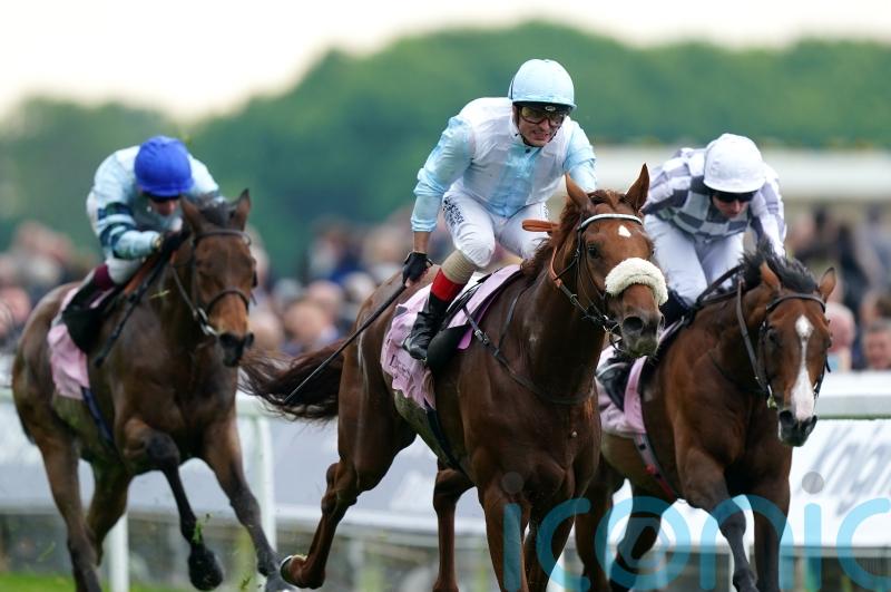 Goodwood Cup goal for Giavellotto