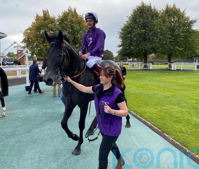 King Of Steel out to rule at Epsom for Amo Racing