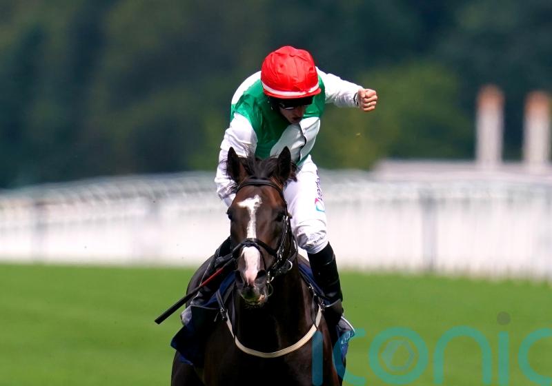 Pyledriver doing everything right en route to King George defence