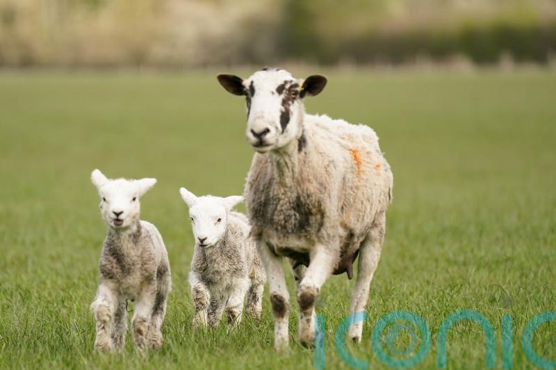 Restoration of nature &lsquo;crucial&rsquo;, says commissioner amid concerns from farmers