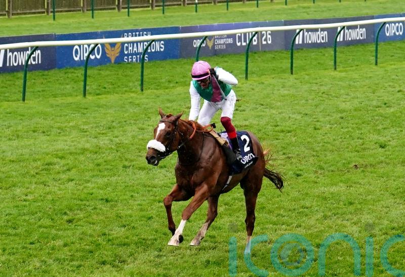 Quick ground no concern for Balding ahead of Chaldean&rsquo;s Ascot run