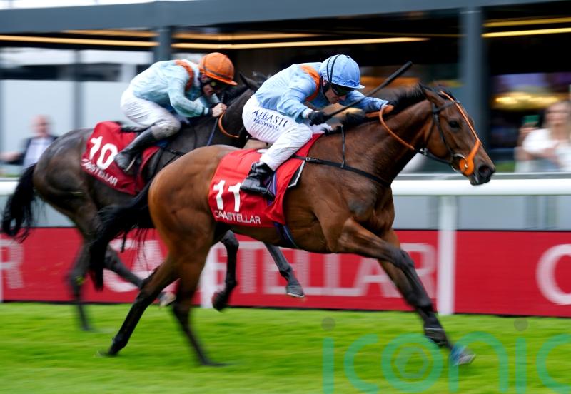 Ziggy&rsquo;s Phoenix seeking to rise to Hilary Needler challenge