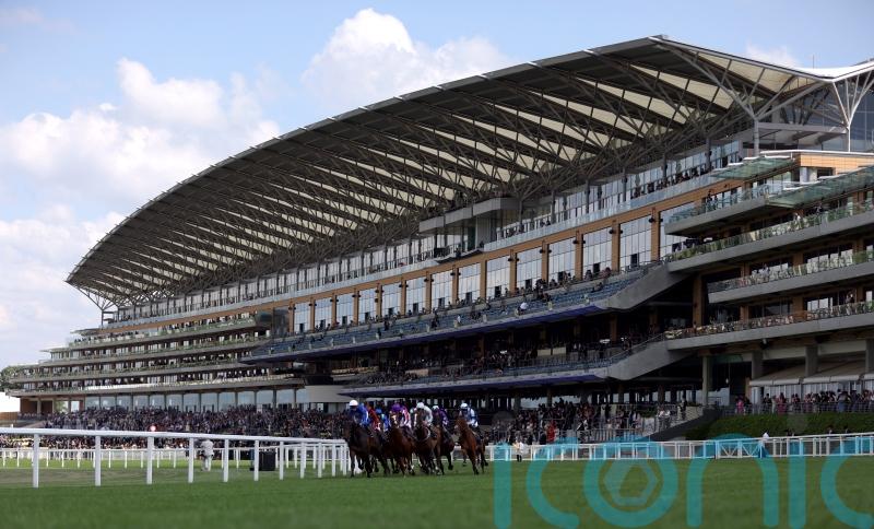 Stickels &lsquo;happy&rsquo; with Ascot ground ahead of uncertain forecast