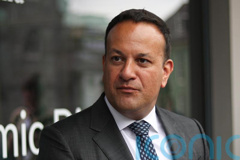 &lsquo;Bespoke energy scheme&rsquo; could be introduced to help Tara Mines, says Varadkar