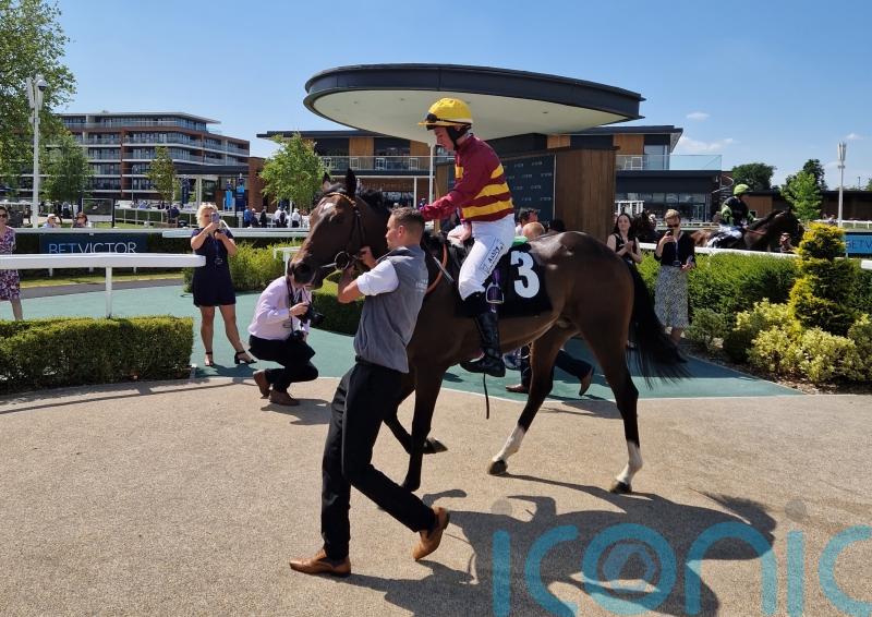 Iberian makes striking impression on Newbury debut