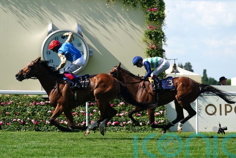 Dettori and Courage Mon Ami land brilliant Gold Cup victory