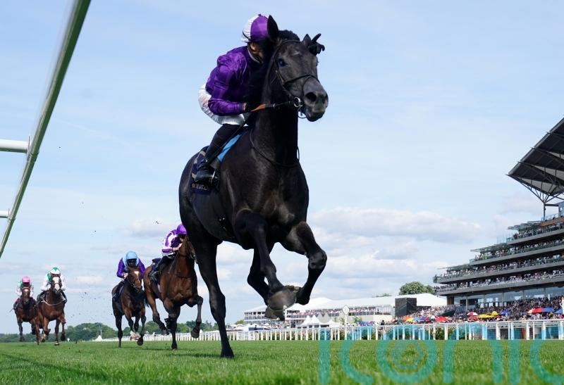 Steel too strong for Royal Ascot rivals