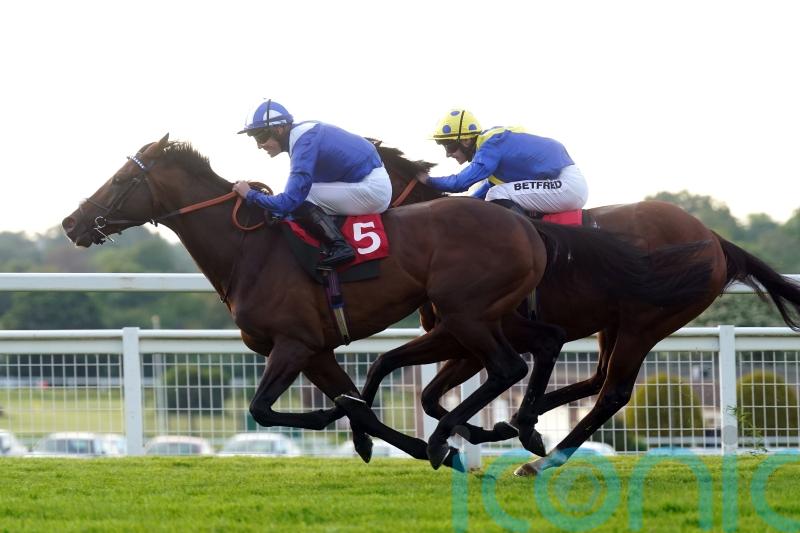 King George in Hukum&rsquo;s sights after bypassing Royal meeting