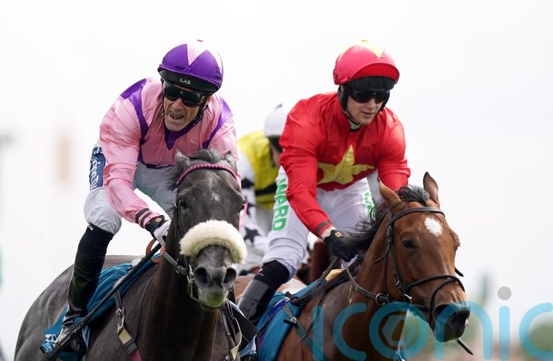 Dods has July Cup in mind for York winner Azure Blue