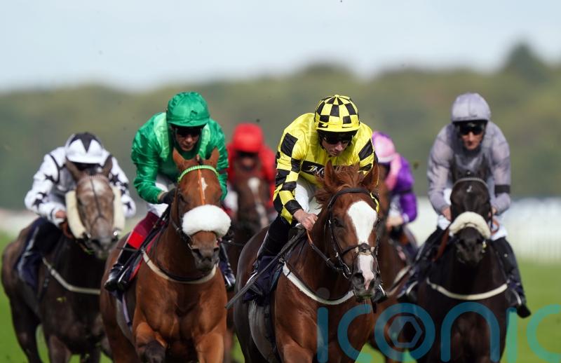 Nunthorpe consolation on the agenda for Manaccan