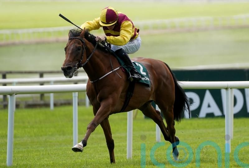 Mashhoor floors returning Al Riffa in International Stakes