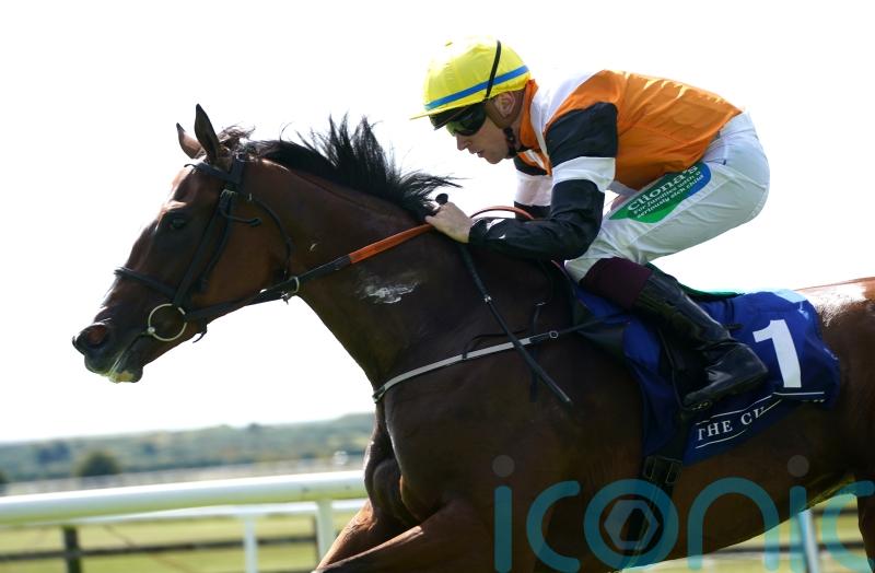 Stack eyeing further Stateside success with Aspen Grove