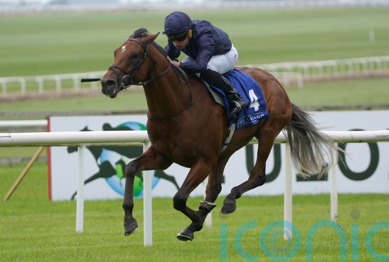 O&rsquo;Brien hoping for Superlative performance from City Of Troy