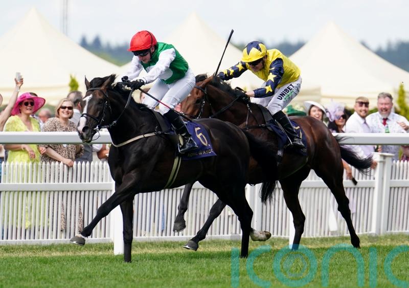 Pyledriver delights in Newbury spin ahead of King George defence