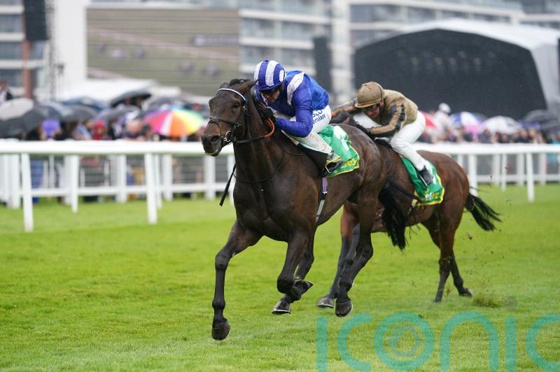 Al Aasy bounces back in style at Newbury