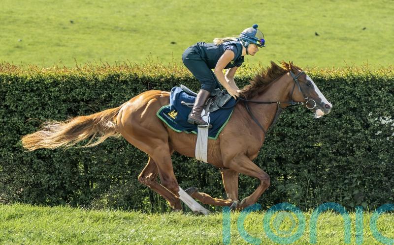 Meade team considering York Stakes date for Dubai Mile