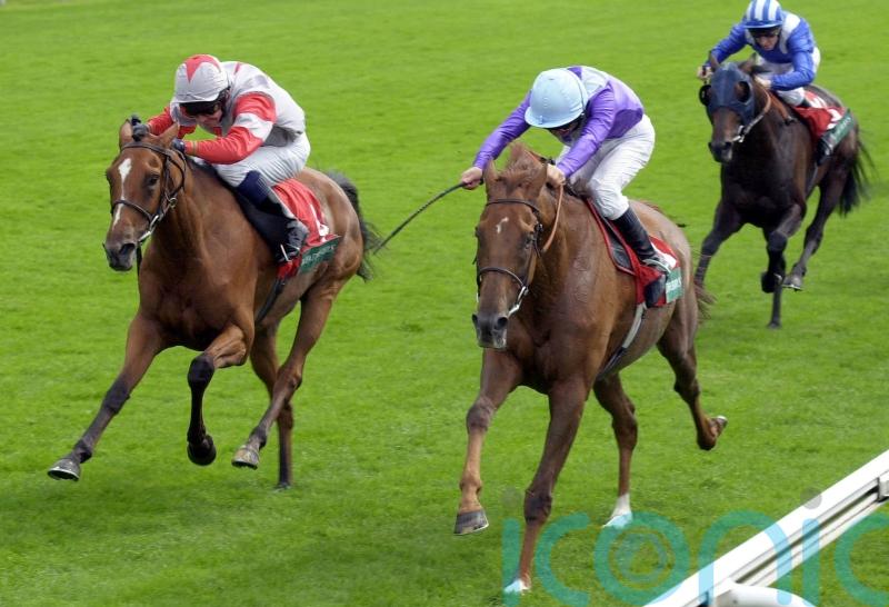 Goodwood specialist Quinn recalls Persian Punch&rsquo;s glory days