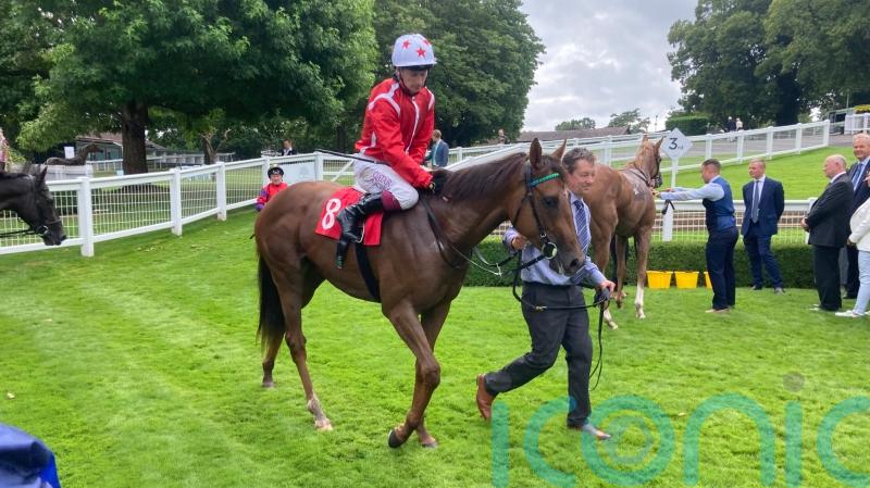 Shu looks good at Sandown with major targets on horizon