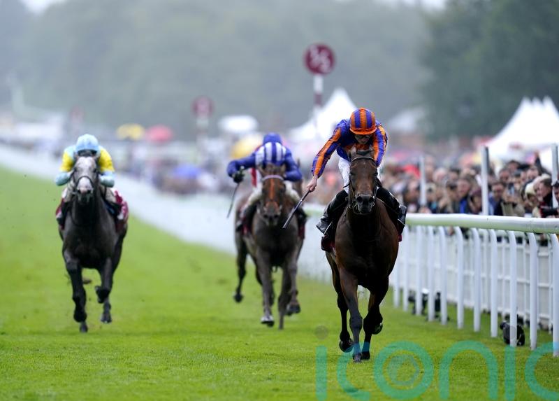 Paddington has all the answers in Sussex Stakes