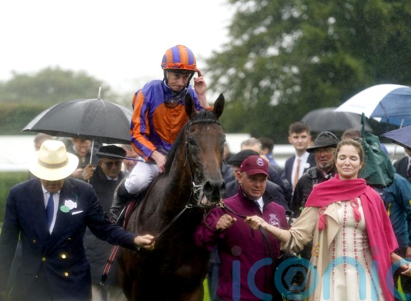 Praise all round, as &lsquo;very special&rsquo; Paddington stays perfect for the season