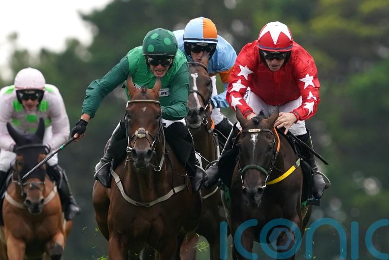 Zarak The Brave lives up to his name in Galway Hurdle