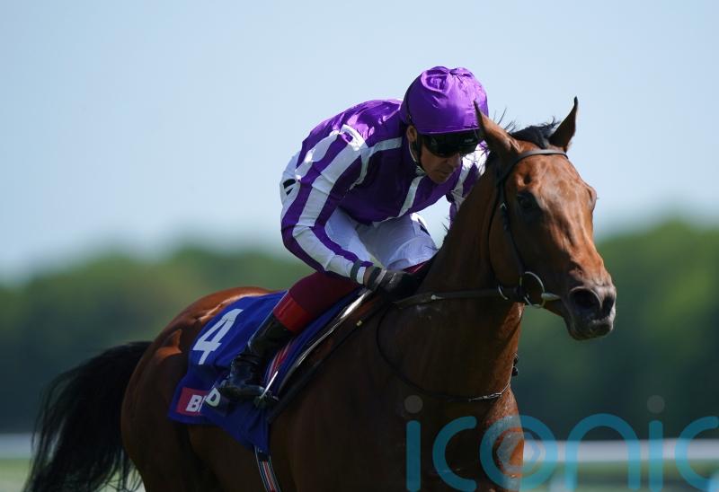 Stone bruise scuppers Deauville plans for Little Big Bear