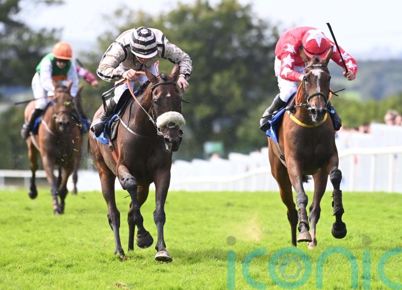 Fahey on the mark again at Galway with Ambitious Fellow