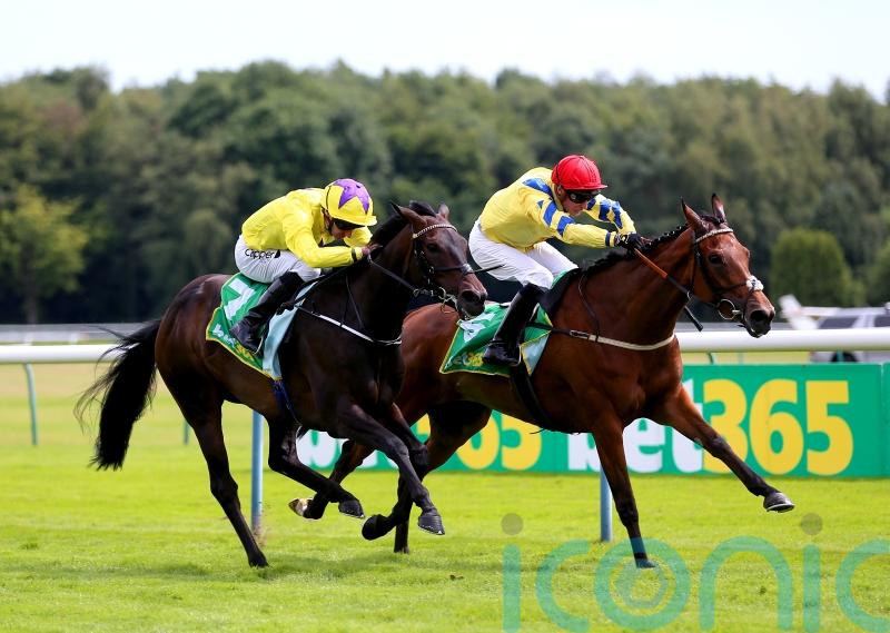 Poptronic and Novakai to spearhead Burke&rsquo;s York squad