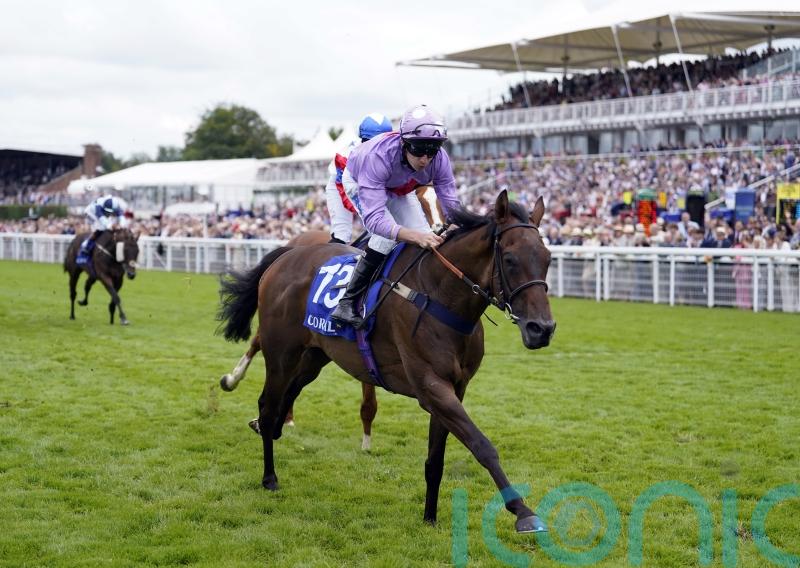 Goodwood winner Temporize being pointed towards Cesarewitch goal