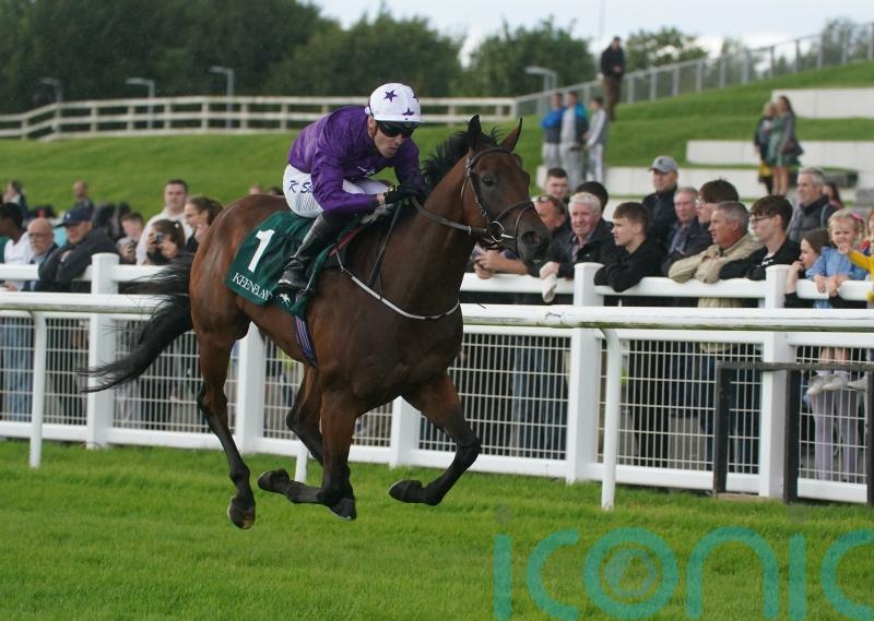 Phoenix hero Bucanero Fuerte set for National service