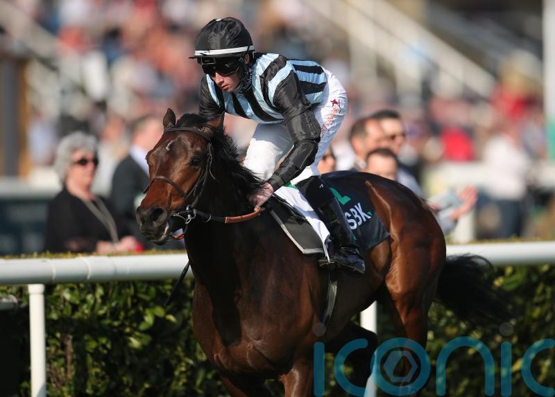 Chindit leads Hannon charge in Hungerford Stakes