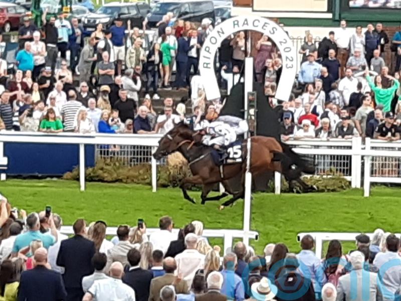 Sophia&rsquo;s Starlight shines brightest in Great St Wilfrid