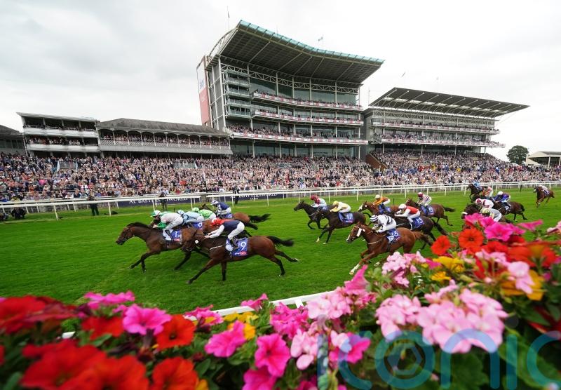 Equilateral swoops late to grab York prize