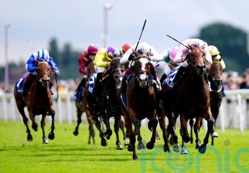 Frankie left to rue York near-miss with Free Wind