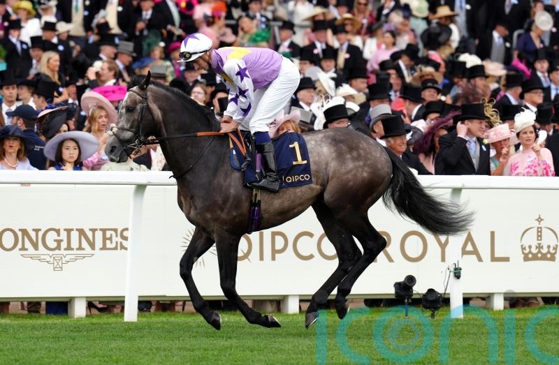 Angel Bleu sparks dream day for Beckett