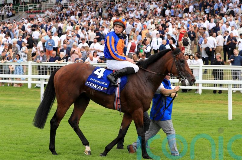 Ascot beckons for Paddington following York defeat