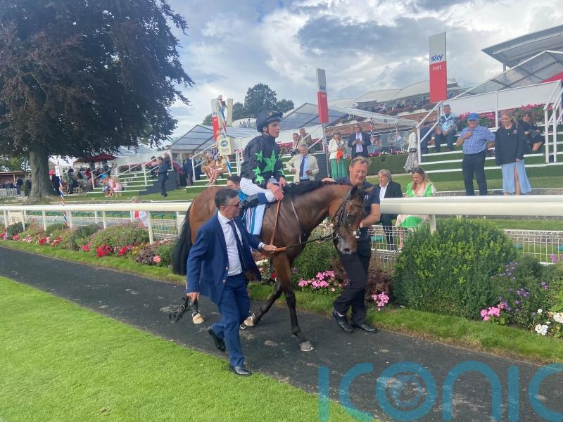 Inquisitively makes striking impression in Roses Stakes