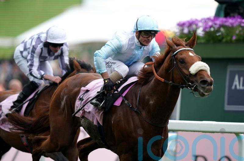 Giavellotto enters Melbourne Cup equation