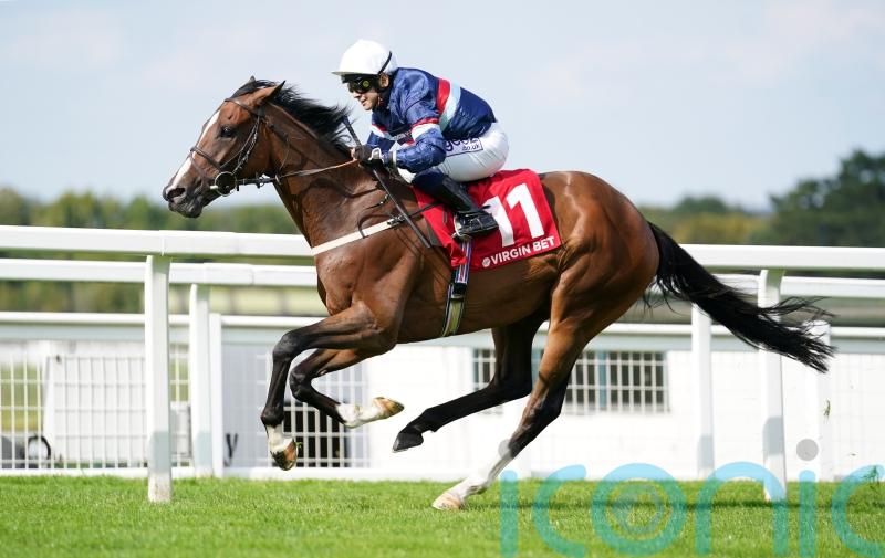 Second time lucky for Dual Identity at Sandown